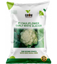 Cauliflower F1 Early White Glacier 5 grams